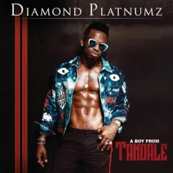 Diamond Platnumz - A Boy From Tandale (2018)