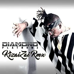 Diamond Platnumz - Kizaizai Remix