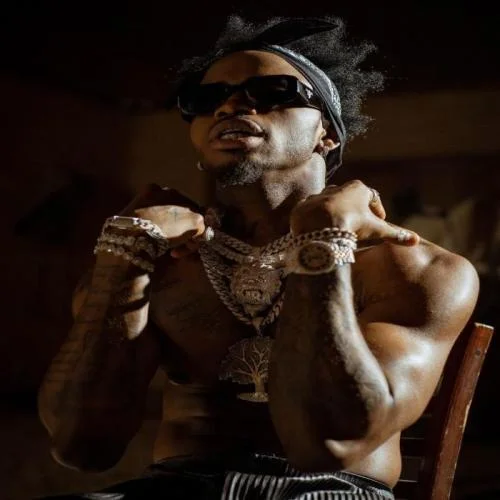 Diamond Platnumz - Mi Amor