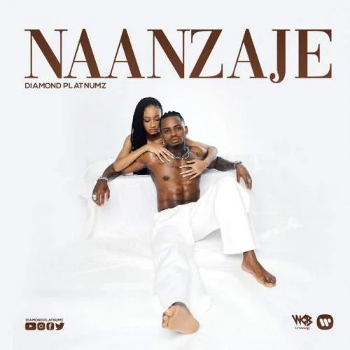 Diamond Platnumz - Naanzaje