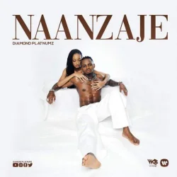 Diamond Platnumz - Naanzaje