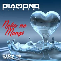 Diamond Platnumz - Nalia Na Mengi