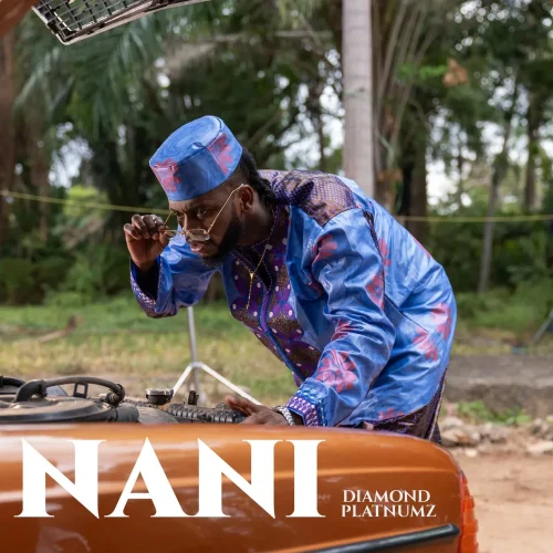Diamond Platnumz - Nani