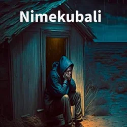 Diamond Platnumz - Nimekubali