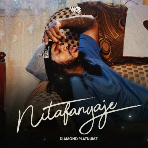 Diamond Platnumz - Nitafanyaje By Diamond Platnumz