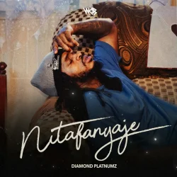 Diamond Platnumz - Nitafanyaje By Diamond Platnumz