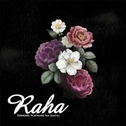 Diamond Platnumz - Raha