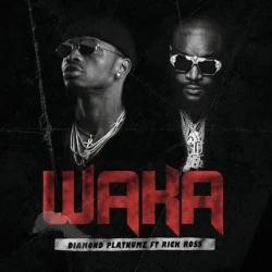 Diamond Platnumz - Waka (feat. Rick Ross)