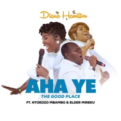 Diana Hamilton - Aha Ye (The Good Place) (feat. Ntokozo Mbambo & Elder Mireku)
