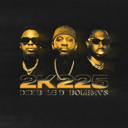 Didi B - 2K225 (feat. Bolémvn)
