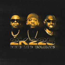 Didi B - 2K225 (feat. Bolémvn)