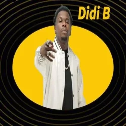 Didi B - C'chic