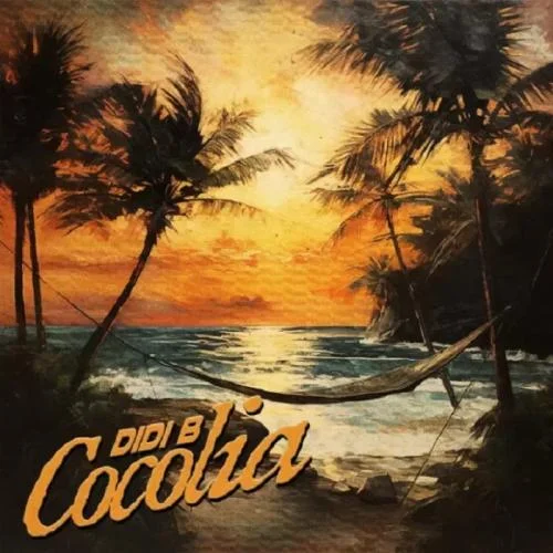 Didi B - Cocolia