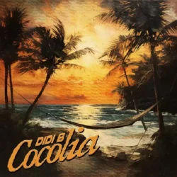 Didi B - Cocolia