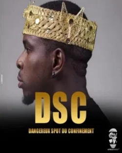 Didi B - DSC (Dangereux Spot du Confinement)