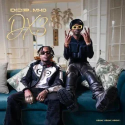 Didi B - DX3