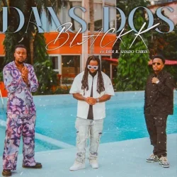 Didi B - Dans Dos (feat. Shado Chris)