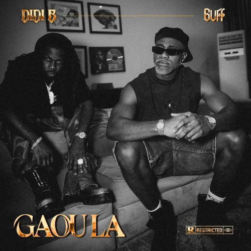 Didi B - Gaou La (feat. 6uff)
