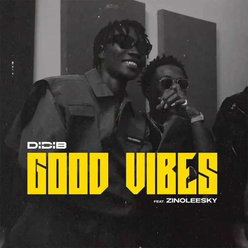 Didi B - Good Vibes