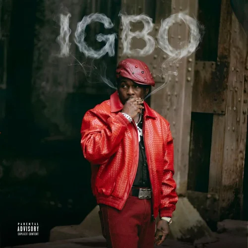 Didi B - IGBO