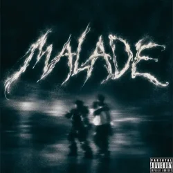 Didi B - MALADE (feat. Khaid)
