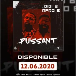 Didi B - Puissant