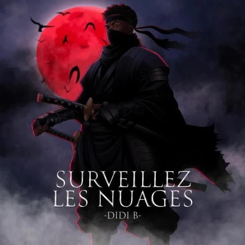 Didi B - Shogun