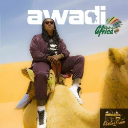 Didier Awadi - Made in Africa (2018)