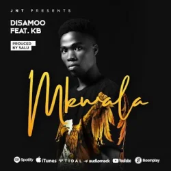 Disamoo - Mkwala (feat. KB)