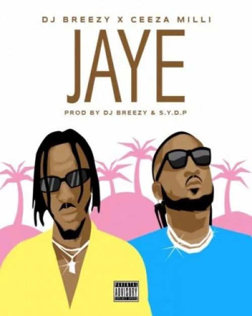 Dj Breezy - Jaye