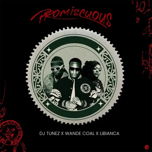 Dj Tunez - Promiscuous (feat. Wande Coal & Libianca)