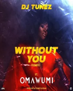 Dj Tunez - Without You (Remix)