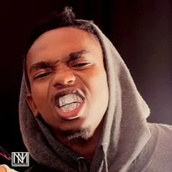 Dogo Janja - If I Get Money (feat. GodZilla)