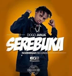 Dogo Janja - Serebuka (feat. Jambo Squad)