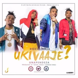 Dogo Janja - Ukivaaje Unapendeza