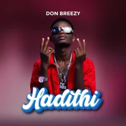 Don Breezy - Hadithi