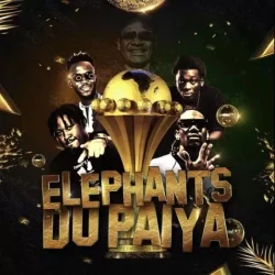 Doupi Papillon - Can Du Paiya (feat. Pheno DJ, Jeropa, Tazeboy, PSK, Fanoux Cia & Lemaga)