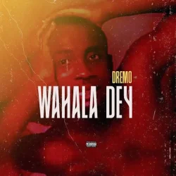 Dremo - Wahala Dey