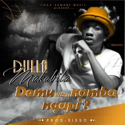 Dulla Makabila - Demu Wako Namba Ngapi