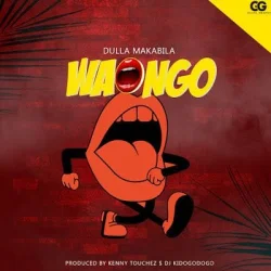 Dulla Makabila - Waongo