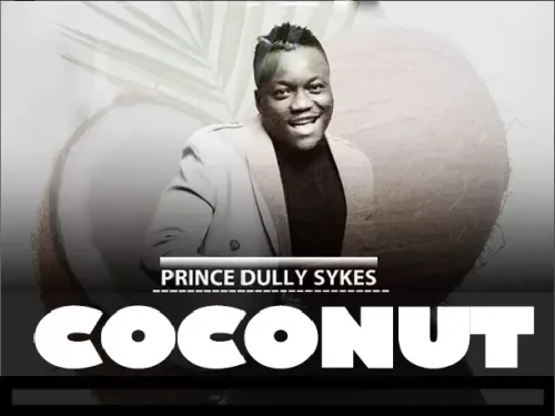 Dully Sykes - Coconut