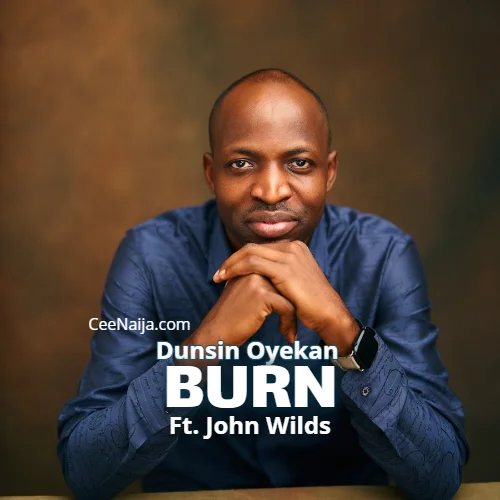 Dunsin Oyekan - Burn