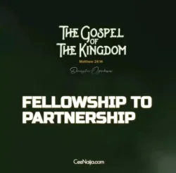Dunsin Oyekan - Fellowship To Partnership