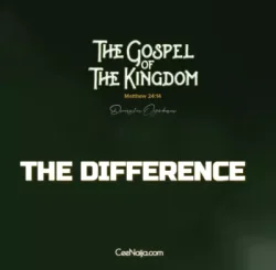 Dunsin Oyekan - The Difference