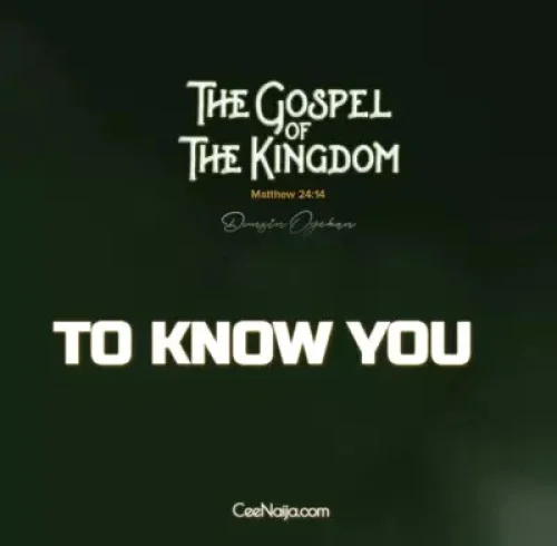 Dunsin Oyekan - To Know You