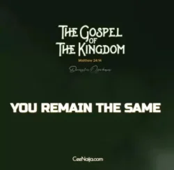 Dunsin Oyekan - You Remain The Same