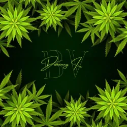 Dweanny Ice - BV
