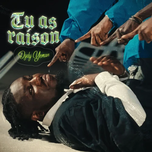 Dydy Yeman - Tu As Raison