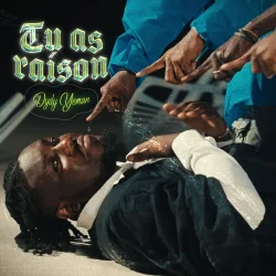Dydy Yeman - Tu As Raison