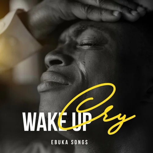 Ebuka Songs - Wake Up Cry (2023)
